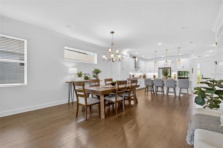 New construction Single-Family house 977 Signet Dr, Apollo Beach, FL 33572 - image 14