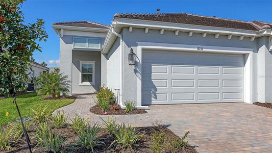 New construction Single-Family house 18131 Franklin Park Ct, Venice, FL 34293 - image 18