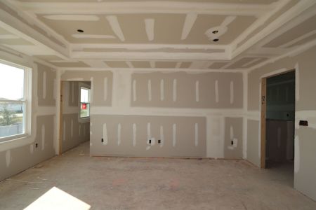 New construction Single-Family house 38326 Tobiano Loop, Dade City, FL 33525 Casanova- photo 53 53