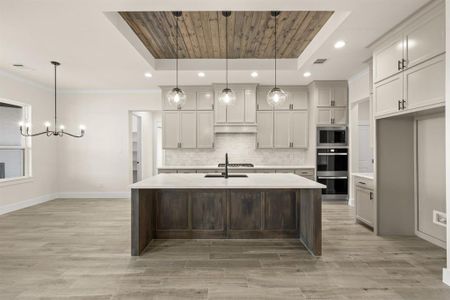 New construction Single-Family house 115 Blackstar Ln, Decatur, TX 76234 - image 9