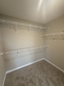 New construction Single-Family house 300 Selesia Ln, Pleasant View, TN 37146 - image 13