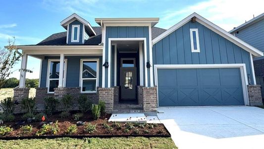 New construction Single-Family house 11405 Treehouse Trl, Justin, TX 76247 plan COTTONWOOD - image