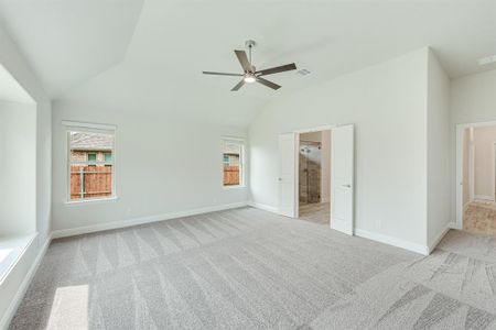 New construction Single-Family house 1022 Greencove Dr, Midlothian, TX 76065 Rockcress- photo 19 19