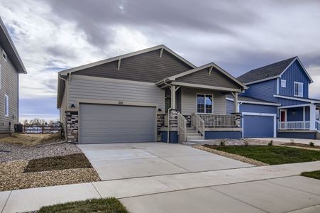 New construction Single-Family house 1815 Cord Grass Dr, Fort Collins, CO 80524 plan Silverthorne - image