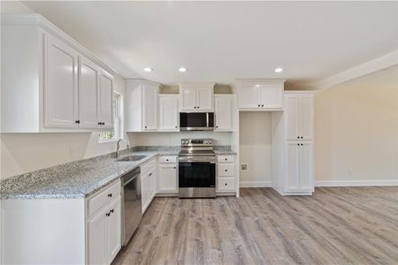 New construction Single-Family house 55 Charlie Lemley Rd, Dawsonville, GA 30534 - image