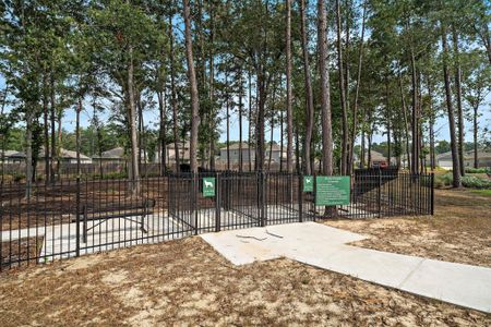 New construction Single-Family house 16351 Airborne Arch Ln, Porter, TX 77365 plan Hampton - image