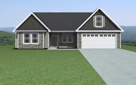 New construction Single-Family house 600 Adventure Isla Wy, Campobello, SC 29322 - image
