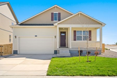 New construction Single-Family house 6099 Holstein Drive, Windsor, CO 80528 - photo 0