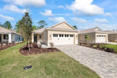 New construction Single-Family house 9722 Sw 108Th Terrace Rd, Ocala, FL 34481 - image