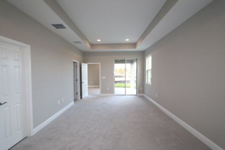 New construction Single-Family house 31229 Denham Ridge Ln, Wesley Chapel, FL 33545 Newport II- photo 89 89