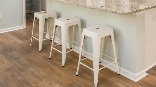 New construction Single-Family house 128 Warner Crossing Wy, Loris, SC 29569 plan LITTLETON - image