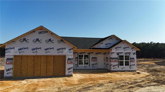 New construction Single-Family house 90 Orchard Ln, Parkton, NC 28371 - image