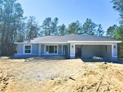 New construction Single-Family house 14 Sequoia Trail Trak, Ocklawaha, FL 32179 - image