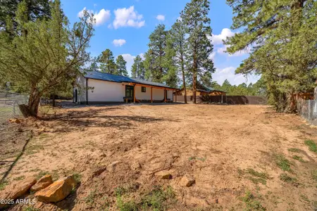 New construction Single-Family house 1982 Christmas Pine Dr, Heber-Overgaard, AZ 85933 - image