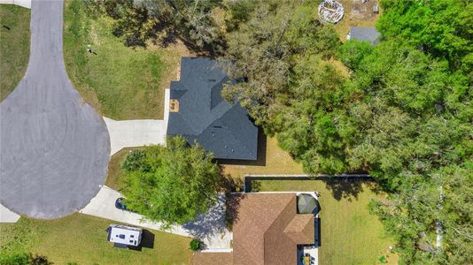 New construction Single-Family house 804 Deep Wood Ct, Fruitland Park, FL 34731 null- photo 5 5