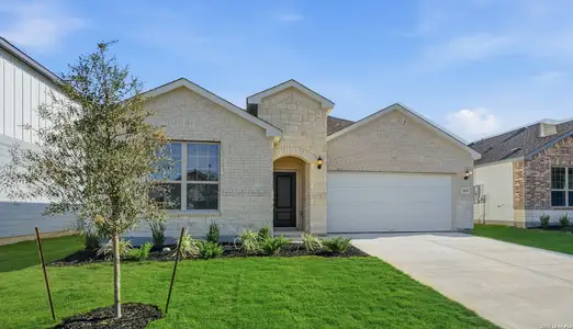 New construction Single-Family house 176 Thorny Grove, San Antonio, TX 78253 plan Orchard - image