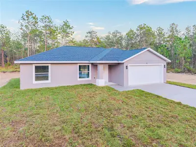 New construction Single-Family house 22632 Sw Nautilus Blvd, Dunnellon, FL 34431 - image 3