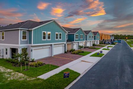 Blue Springs Reserve Townhomes by Trinity Family Builders in Groveland - photo 1 1