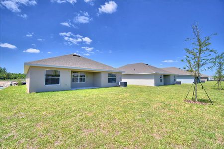 New construction Single-Family house 2374 Friendly Confines Loop, Davenport, FL 33837 1512- photo 28 28