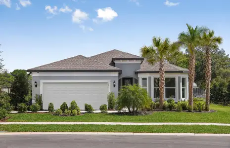 New construction Single-Family house 3362 Yellow Leaf Cir, Spring Hill, FL 34609 plan Medina - image