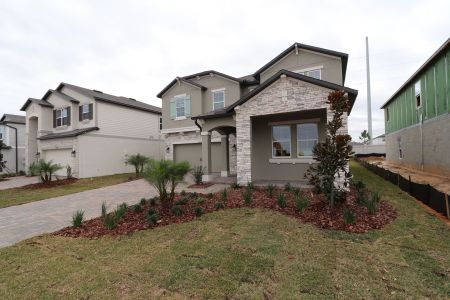 New construction Single-Family house 38326 Tobiano Loop, Dade City, FL 33525 Casanova- photo 103 103