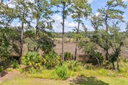 New construction Single-Family house 465 Lesesne Street, Charleston, SC 29492 - photo 27 27