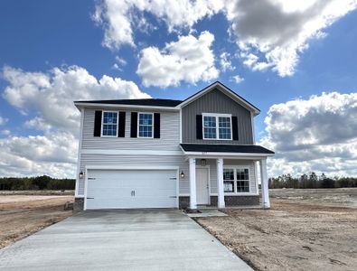 New construction Single-Family house Ludowici, GA 31316 plan The Anderson - image
