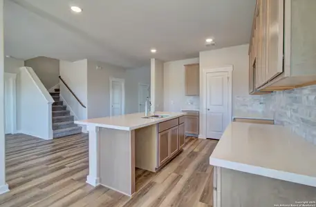 New construction Single-Family house 2518 White Daisy Hl, Converse, TX 78109 - image