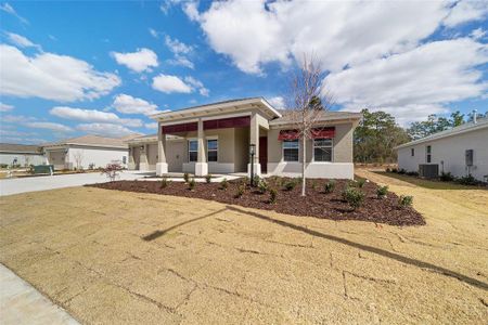 New construction Single-Family house 10026 Sw 106Th Cir, Ocala, FL 34481 - image