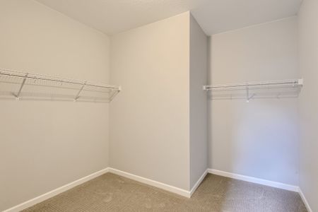 New construction Single-Family house 13788 Daffodil Wy, Parker, CO 80134 plan Denali - image 17