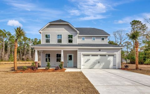 New construction Single-Family house 6220 N Hwy 17, Awendaw, SC 29429 - image