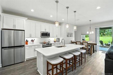 New construction Single-Family house 1136 N Cherry Pop Dr, Hernando, FL 34442 - image 7