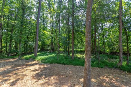 New construction Single-Family house 206 Cardinal Ct, Oxford, NC 27565 null- photo 36 36