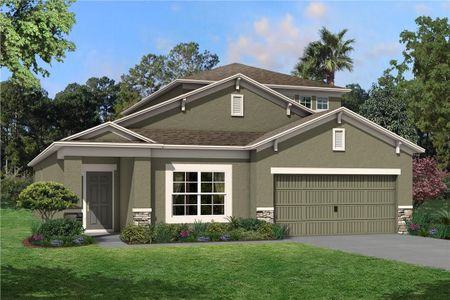 New construction Single-Family house 11855 Hilltop Farms Dr, Dade City, FL 33525 null- photo 3 3