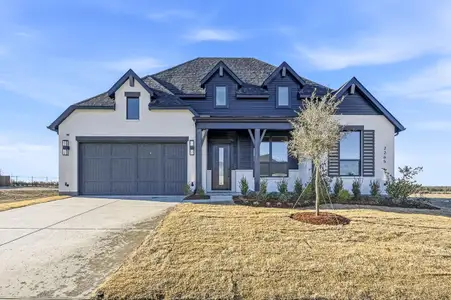 New construction Single-Family house 2265 Slate Dr, Waxahachie, TX 75167 plan Birchwood - image