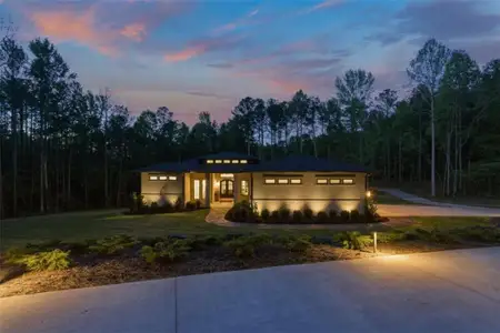 New construction Single-Family house 249 Mabry Pkwy, Whitesburg, GA 30185 - image