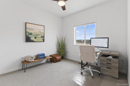 New construction Single-Family house 18197 Martinello Dr, Parker, CO 80134 plan Palisade - image 19