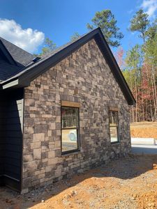 New construction Single-Family house 1060 Temple Draketown Road, Temple, GA 30179 The Theodore- photo 6 6