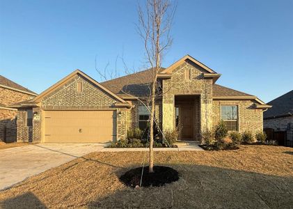 New construction Single-Family house 4121 Winnow Ln, Joshua, TX 76058 plan Princeton - image