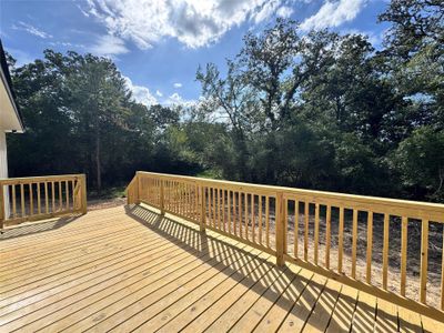 New construction Single-Family house 5506 County Rd 366, Marquez, TX 77865 - image