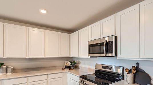 New construction Single-Family house 7753 Desert Wrangler Dr, Colorado Springs, CO 80908 plan Dolly - image