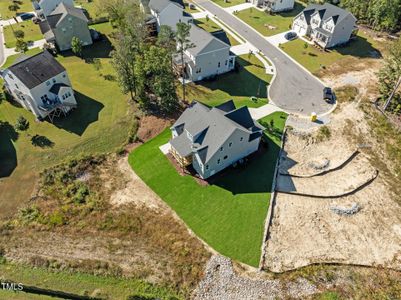 New construction Single-Family house 820 Willow Tower Ct, Unit 153, Rolesville, NC 27571 null- photo 9 9