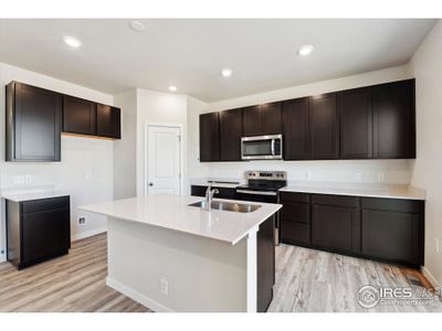 New construction Single-Family house 4431 Trader St, Timnath, CO 80547 Ontario- photo 4 4