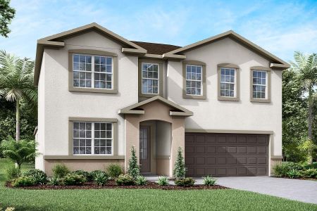 New construction Single-Family house 3029 Ambersweet Pl, Clermont, FL 34711 null- photo 3 3