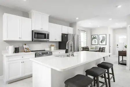 New construction Single-Family house 14050 Hunters Grove Rd, Hudson, FL 34667 - image