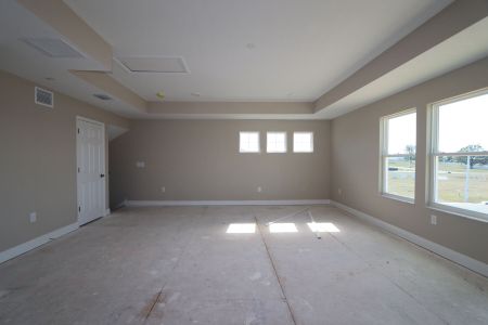 New construction Single-Family house 38357 Palomino Dr, Dade City, FL 33525 Picasso Bonus- photo 15 15