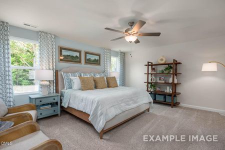 New construction Single-Family house 420 Golden Dragonfly St, Wake Forest, NC 27587 - image 16