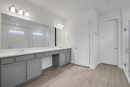 New construction Single-Family house 17374 Crisp Apple Ln, Land O' Lakes, FL 34638 plan Arlington - image 13