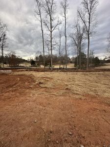 New construction Single-Family house 3030 Fariview Cir, Villa Rica, GA 30180 3119- photo 29 29