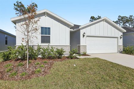 New construction Single-Family house 49 Wandering Creek Wy, Palm Coast, FL 32164 - image